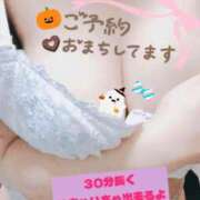 ヒメ日記 2025/10/29 11:26 投稿 ゆう 新潟市鳥屋野潟ちゃんこ