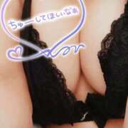 ヒメ日記 2025/11/07 09:26 投稿 ゆう 新潟市鳥屋野潟ちゃんこ