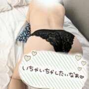 ヒメ日記 2025/11/15 09:46 投稿 ゆう 新潟市鳥屋野潟ちゃんこ