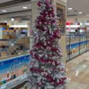 ヒメ日記 2025/12/24 02:06 投稿 ゆう 新潟市鳥屋野潟ちゃんこ