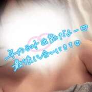 ヒメ日記 2025/12/27 19:46 投稿 ゆう 新潟市鳥屋野潟ちゃんこ