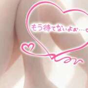 ヒメ日記 2025/12/28 21:36 投稿 ゆう 新潟市鳥屋野潟ちゃんこ