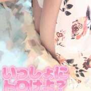 ヒメ日記 2026/03/13 16:30 投稿 ゆう 新潟市鳥屋野潟ちゃんこ