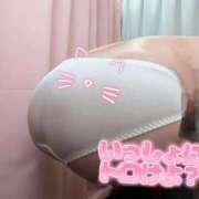 ヒメ日記 2026/03/16 17:56 投稿 ゆう 新潟市鳥屋野潟ちゃんこ