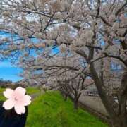 ヒメ日記 2026/04/09 13:26 投稿 ゆう 新潟市鳥屋野潟ちゃんこ