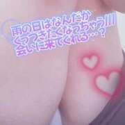 ヒメ日記 2026/04/27 12:53 投稿 ゆう 新潟市鳥屋野潟ちゃんこ