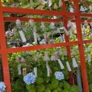 ヒメ日記 2026/07/14 15:06 投稿 ゆう 新潟市鳥屋野潟ちゃんこ