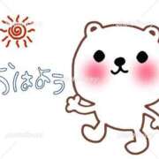 ちょこ【新人割】 おはにゃん🐱🤍 Fの法則