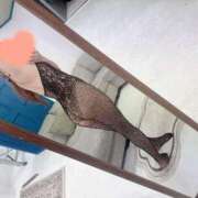 ヒメ日記 2025/11/03 01:09 投稿 本城 ゆりな HANA-okinawa-