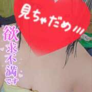 ヒメ日記 2025/04/20 14:53 投稿 かい ちゃんこ大阪十三