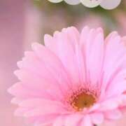 ヒメ日記 2025/04/14 14:25 投稿 ももえ(昭和49年生まれ) 熟年カップル名古屋～生電話からの営み～