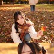 ヒメ日記 2025/11/12 07:02 投稿 緋月すい LUXE(リュクス)