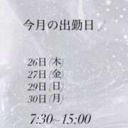 ヒメ日記 2025/06/19 17:24 投稿 あん CECIL