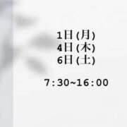 ヒメ日記 2025/08/31 22:53 投稿 あん CECIL