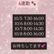 ヒメ日記 2025/10/04 21:17 投稿 あん CECIL