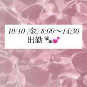 ヒメ日記 2025/10/09 21:50 投稿 あん CECIL