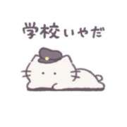 ヒメ日記 2025/11/13 19:50 投稿 あん CECIL