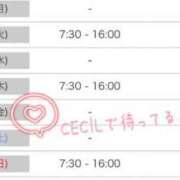 あん 来週の予定アップしました💕🐾 CECIL