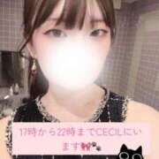 ヒメ日記 2025/12/19 21:45 投稿 あん CECIL