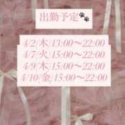 ヒメ日記 2026/04/01 22:34 投稿 あん CECIL