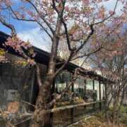 ヒメ日記 2026/04/01 23:39 投稿 あん CECIL