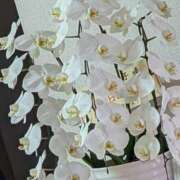 ヒメ日記 2025/06/29 19:29 投稿 かずき 完熟ばなな札幌・すすきの