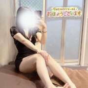 ヒメ日記 2025/04/16 08:01 投稿 めいさ ホワイトハウス