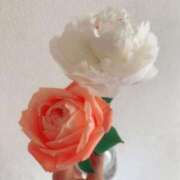 ヒメ日記 2025/04/17 17:44 投稿 愛莉乃-Merino- マニア東京　Mフェチ・アブノーマル専門店