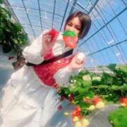 ヒメ日記 2025/04/18 00:14 投稿 愛莉乃-Merino- マニア東京　Mフェチ・アブノーマル専門店