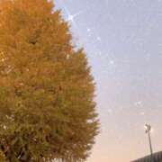 ヒメ日記 2025/11/28 17:05 投稿 愛莉乃-Merino- マニア東京　Mフェチ・アブノーマル専門店