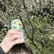 ヒメ日記 2025/05/01 20:00 投稿 ゆん New Sky