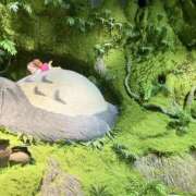 ヒメ日記 2025/06/27 17:00 投稿 ゆん New Sky