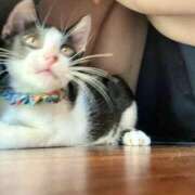 ヒメ日記 2025/07/20 21:03 投稿 ゆん New Sky