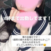 ほし 出勤完了！ ハピネス札幌