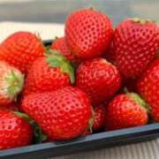 ヒメ日記 2025/04/20 20:38 投稿 あん DIVA-ディーバ-【DIVAグループ】