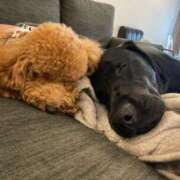 ヒメ日記 2025/05/07 06:48 投稿 梨恵(りえ) PLUS十三店