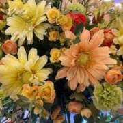 ヒメ日記 2025/05/13 12:48 投稿 梨恵(りえ) PLUS十三店