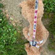 ヒメ日記 2025/05/19 07:27 投稿 梨恵(りえ) PLUS十三店