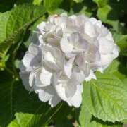 ヒメ日記 2025/06/06 10:37 投稿 梨恵(りえ) PLUS十三店