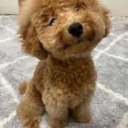 ヒメ日記 2025/06/10 07:14 投稿 梨恵(りえ) PLUS十三店