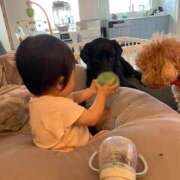 ヒメ日記 2025/06/10 13:02 投稿 梨恵(りえ) PLUS十三店