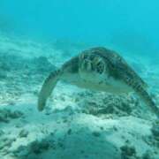 ヒメ日記 2025/07/09 15:21 投稿 梨恵(りえ) PLUS十三店