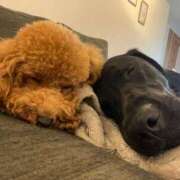 ヒメ日記 2025/07/30 06:28 投稿 梨恵(りえ) PLUS十三店