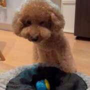 ヒメ日記 2025/07/30 09:23 投稿 梨恵(りえ) PLUS十三店