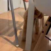 ヒメ日記 2025/08/05 09:48 投稿 梨恵(りえ) PLUS十三店