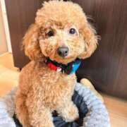 ヒメ日記 2025/08/17 05:08 投稿 梨恵(りえ) PLUS十三店