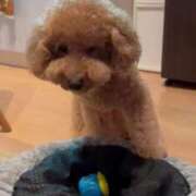 ヒメ日記 2025/08/21 15:09 投稿 梨恵(りえ) PLUS十三店