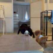 ヒメ日記 2025/08/21 21:08 投稿 梨恵(りえ) PLUS十三店