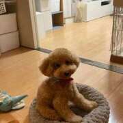 ヒメ日記 2025/08/27 08:28 投稿 梨恵(りえ) PLUS十三店