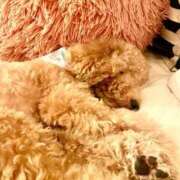 ヒメ日記 2025/08/28 15:28 投稿 梨恵(りえ) PLUS十三店